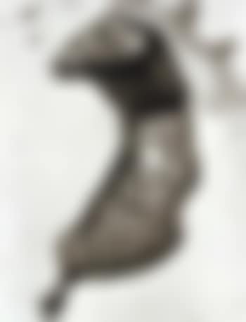 Selected images from chicken parts (preview)