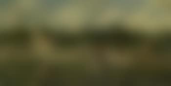 Cotton field (preview)