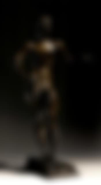 Standing male nude (preview)
