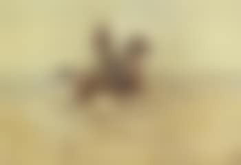 Cowboy on the range (preview)