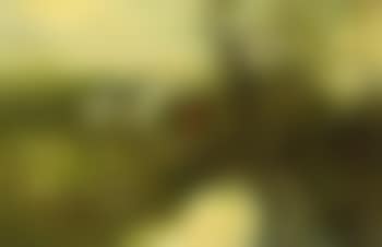 Going home (preview)