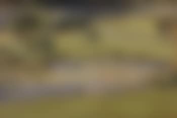 Landscape - Study of a pond. Study of a mountainous landscape (preview)