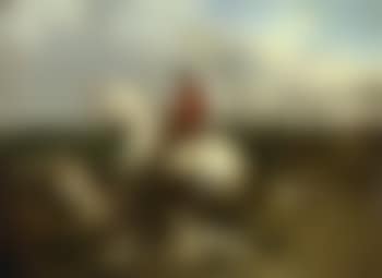 Over the fence (preview)