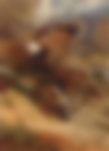 Lost roe (preview)