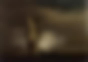 Evening gun (preview)