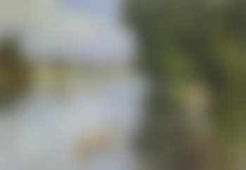 Bord de riviere (preview)