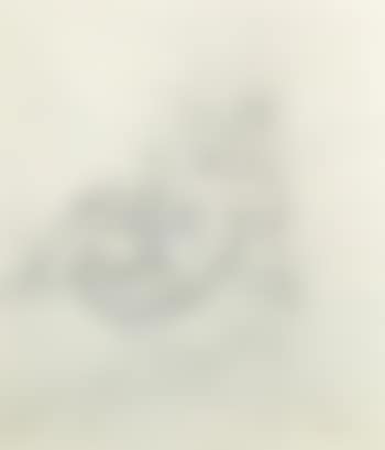Nu allonge (preview)