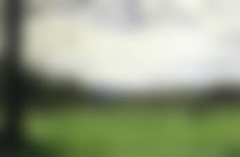 Partie de campagne (preview)