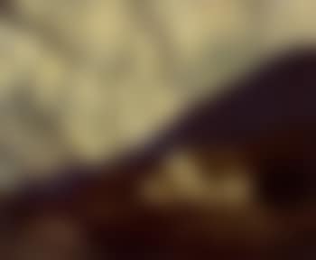 Evening in the mountains (preview)