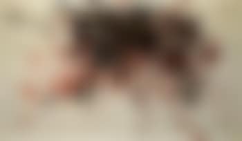 Massacre de Vassy (preview)