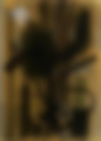 Composition (preview)