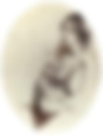 Maternity (preview)