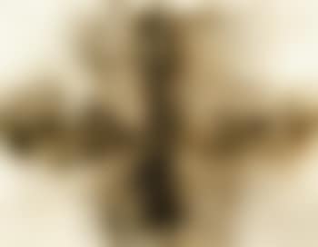 Foetus movement, project for extraterrestrials no 5 (preview)