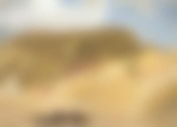 Halte dans le desert (preview)