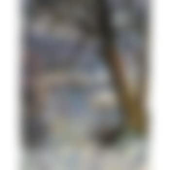 Tree by the lake in winter (preview)