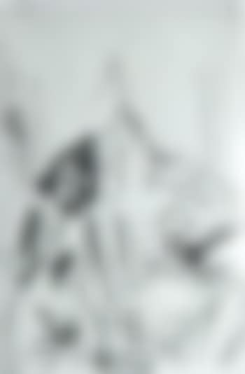 Women's group (preview)