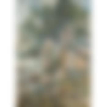 Pine trees, Nikolina gora, Rublevka Region (preview)
