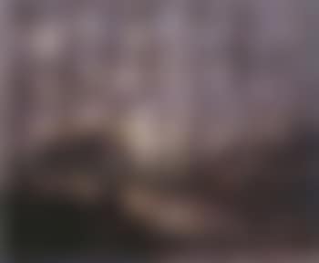 Moor landscape in evening (preview)