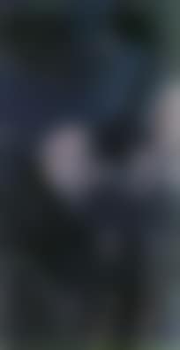 Bird (preview)
