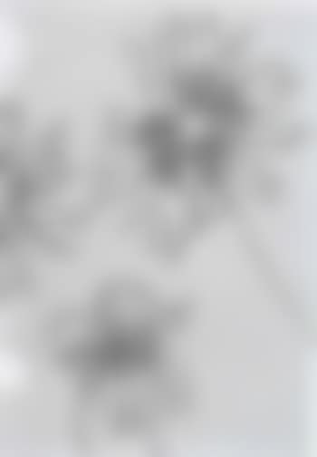 Blossom (preview)