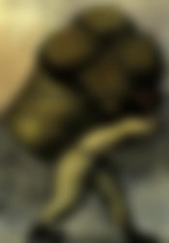Carrier (preview)