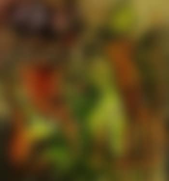 Green muscles (preview)