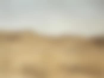Wadi (preview)
