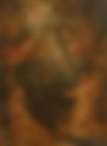Saint Francis receiving the Stigmata (preview)