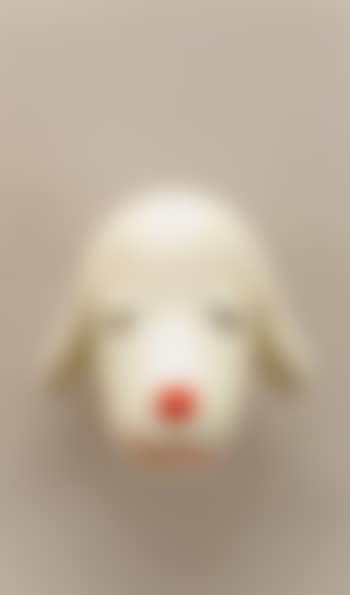 Untitled, puppy head (preview)
