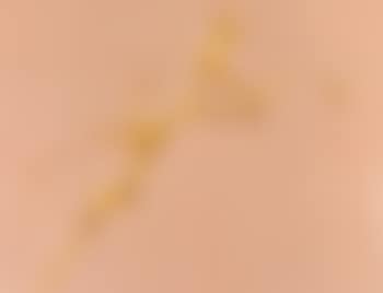 Peach milk (preview)