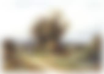 Country lane, a young girl with a hoop (preview)