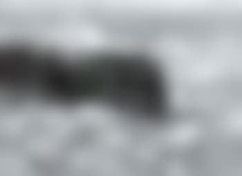 Rough waters (preview)