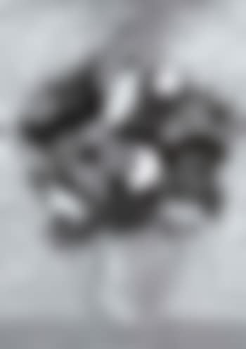 Floral still life (preview)