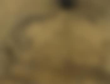 Accoudee (preview)