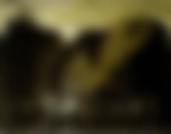 Draught horse (preview)