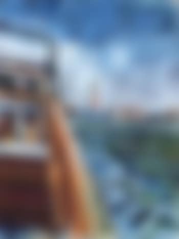 Thomas Manns journey (preview)