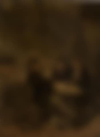 Peasants drinking and playing cards in an inn (preview)
