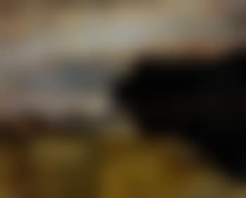 Estacade (preview)