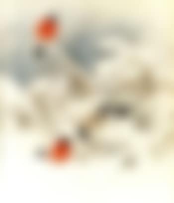 Winter with bullfinches in bushes (preview)