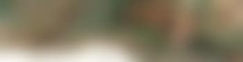 Woodland glade with grouse (preview)