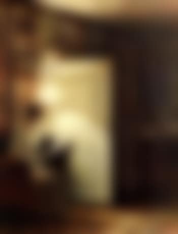 Interior scene with woman reading (preview)