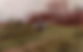 Landscape with women by fire (preview)