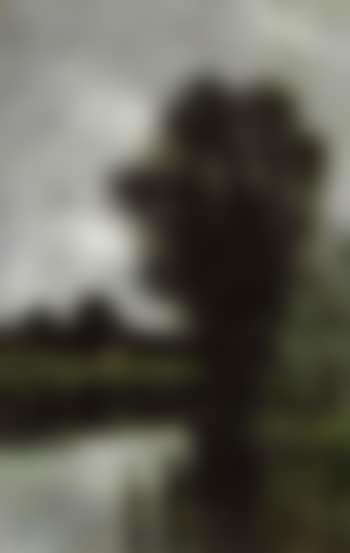 Landscape with waterway (preview)