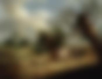 Summer landscape (preview)