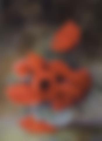 Still life with poppies (preview)