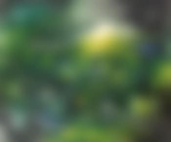 Green hard, you green (preview)