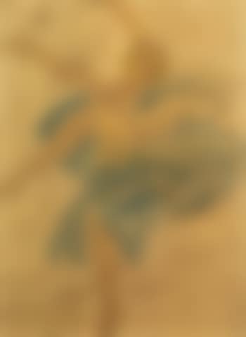 Loie Fuller (preview)