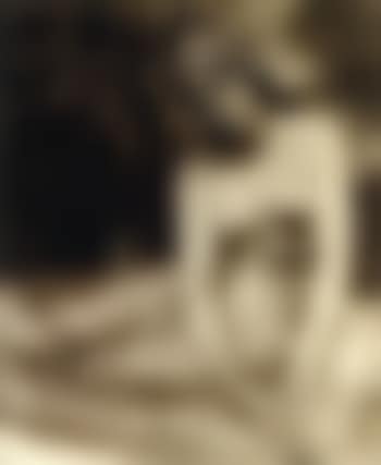 Versailles (preview)