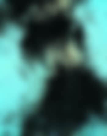 T 1985 H12 (preview)