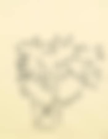 Vase de flours (preview)